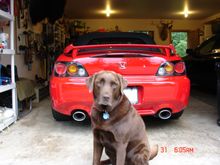 s2k 010.jpg