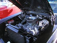 P1010004.JPG