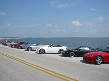 Tarpon Springs