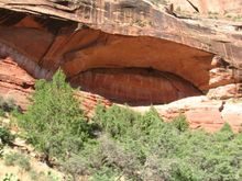 IMG_0318.jpg