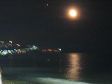 web0249.JPG
