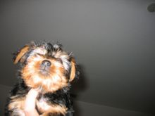 Picture 013.jpg