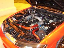 100_0370.JPG