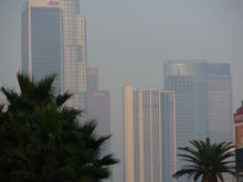 IMG_0779.JPG