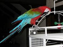 051103 Ms. Bird 4263.JPG