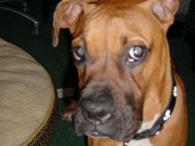 Picture 002.jpg