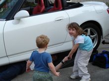 Cheap Labor