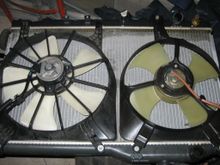 IMG_2134.JPG