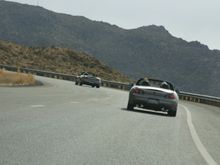 Img_3853rz45.jpg