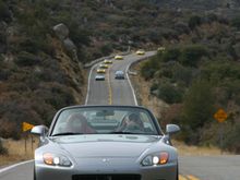 Img_3889rz45.jpg