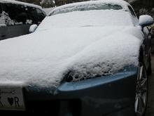 060311 Blue S 5233.JPG