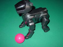Aibo8.jpg