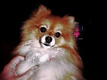 Our Penny