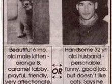 Cat or Husband