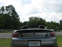 Wing2.jpg