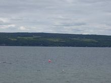 100_0168.jpg