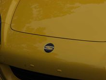 IMG_3892.jpg