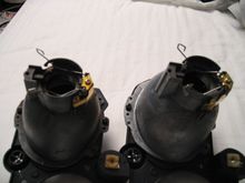 p5.jpg