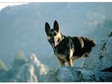 Kyras at Kennedy 6-21-2003