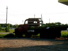 IMG_4820.jpg