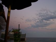 moonshine059.jpg