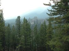 DSC_0317.JPG