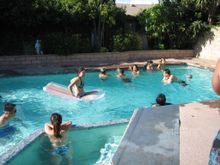 IMG_2131.jpg