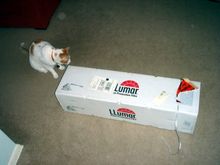 Lumarbox.jpg