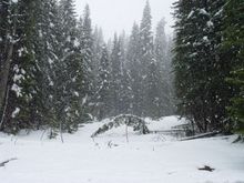 DSC00656.JPG