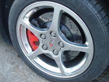 DSC01564.JPG
