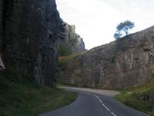 road1.jpg