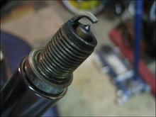 motor-IMG_1101.jpg