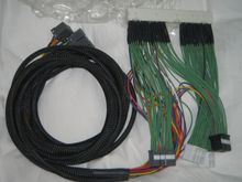 Boomslang1