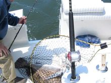 IMG_5249.jpg