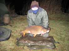 carp.jpg