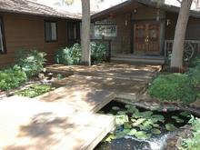 DSC_4399 070624 Front deck pond.JPG