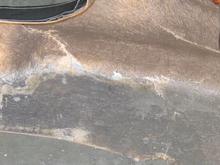 Distinto Harsh Light Backside Cracks Pass Closer View.jpg