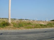 DSC00880.JPG