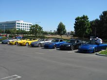 IMG_8565.JPG