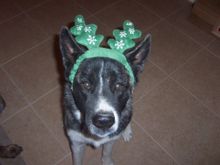 100_1228.jpg