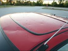 crx-IMG_3409.JPG