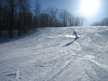 IMG_7459.JPG