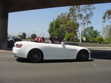 rollin.jpg