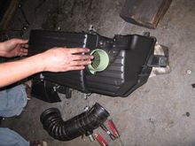 IMG_2174.JPG