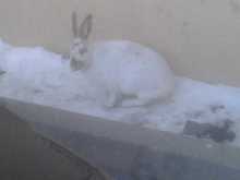 IMG00058.jpg