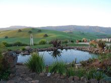 Pond Makeover 2008-03-04_5.JPG