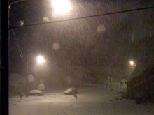 IMG_0772.JPG