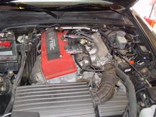 DSC01547 (Medium).JPG