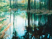 Vaughn hill reflections copy.jpg
