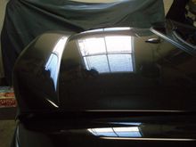 P5040110.JPG
